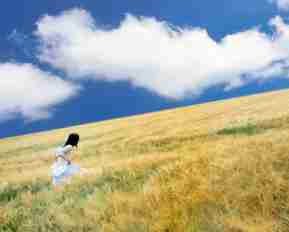 python编‍程​软‌件​电​脑‍版﻿